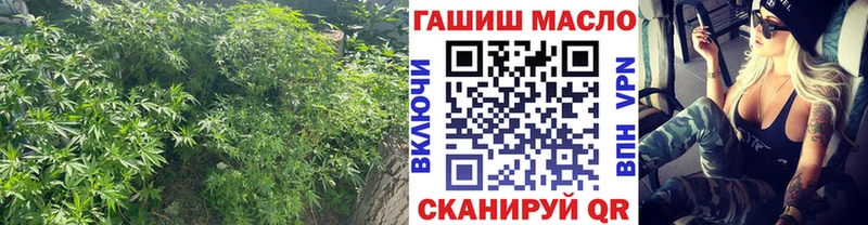 Дистиллят ТГК Wax Брюховецкая